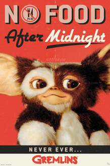 ABYSTYLE Poster Gremlins - No Food After Midnight 61x91,5cm Divers - 61x91.5 cm