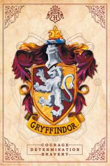 ABYSTYLE Poster Harry Potter Gryffindor 61x91,5cm Divers - 61x91.5 cm