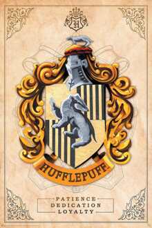 ABYSTYLE Poster Harry Potter Hufflepuff 61x91,5cm Divers - 61x91.5 cm