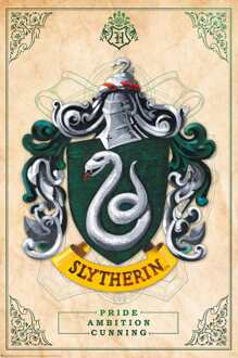 ABYSTYLE Poster Harry Potter Slytherin 61x91,5cm Divers - 61x91.5 cm