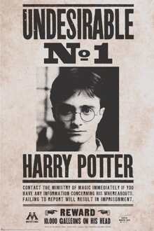 ABYSTYLE Poster Harry Potter Undesirable nr 1 61x91,5cm Divers - 61x91.5 cm