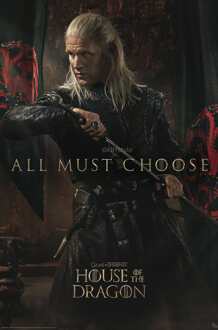 ABYSTYLE Poster House of the Dragon - Daemon 61x91,5cm Divers - 61x91.5 cm