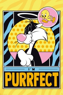 ABYSTYLE Poster Looney Tunes - Tweety and Sylveste 61x91,5cm Divers - 61x91.5 cm