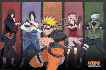 ABYSTYLE Poster Naruto Shippuden - Naruto Allies 91,5x61cm Divers - 91.5x61 cm