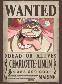 ABYSTYLE Poster One Piece Wanted Big Mom 38x52cm Divers - 38x52 cm