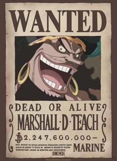 ABYSTYLE Poster One Piece Wanted Blackbeard 38x52cm Divers - 38x52 cm
