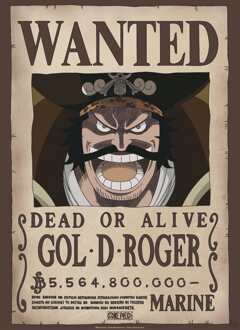 ABYSTYLE Poster One Piece - Wanted Gol D. Roger 38x52cm Divers - 38x52 cm