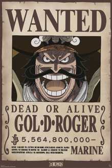 ABYSTYLE Poster One Piece - Wanted Gol .D. Roger 61x91,5cm Divers - 61x91.5 cm