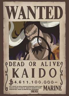 ABYSTYLE Poster One Piece Wanted Kaido 38x52cm Divers - 38x52 cm
