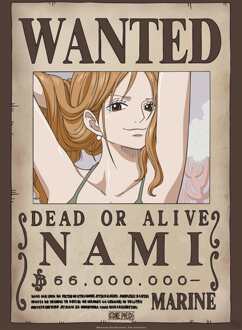 ABYSTYLE Poster One Piece Wanted Nami 38x52cm Divers - 38x52 cm