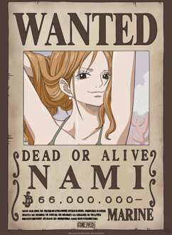 ABYSTYLE Poster One Piece - Wanted Nami 38x52cm Divers - 38x52 cm