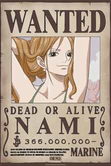 ABYSTYLE Poster One Piece - Wanted Nami Wano 38x52cm Divers - 38x52 cm