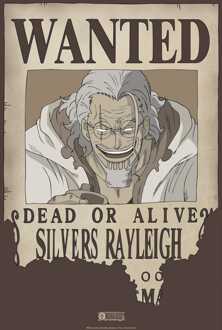 ABYSTYLE Poster One Piece Wanted Rayleigh 35x52cm Divers - 35x52 cm