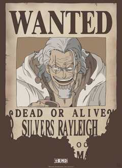 ABYSTYLE Poster One Piece Wanted Rayleigh 38x52cm Divers - 38x52 cm