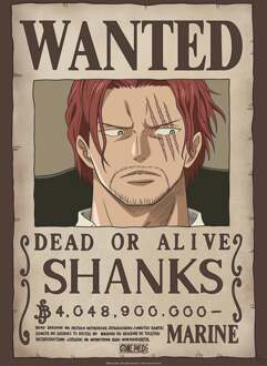 ABYSTYLE Poster One Piece Wanted Shanks 38x52cm Divers - 38x52 cm