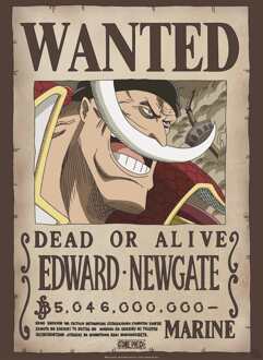 ABYSTYLE Poster One Piece Wanted Whitebeard 38x52cm Divers - 38x52 cm