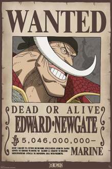 ABYSTYLE Poster One Piece Wanted Whitebeard 61x91,5cm Divers - 61x91.5 cm