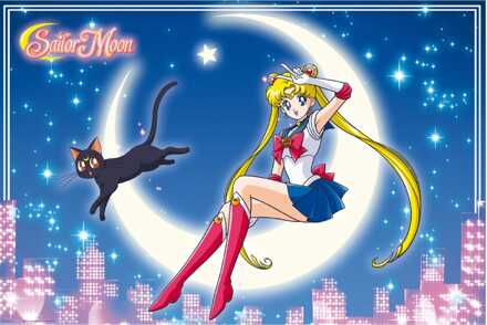 ABYSTYLE Poster Sailor Moon & Luna 91,5x61cm Divers - 91.5x61 cm