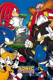 ABYSTYLE Poster Sonic Group 61x91,5cm Divers - 61x91.5 cm