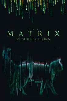 ABYSTYLE Poster The Matrix - Cat 61x91,5cm Divers - 61x91.5 cm