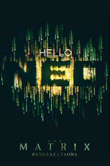 ABYSTYLE Poster The Matrix Hello Neo 61x91,5cm Divers - 61x91.5 cm
