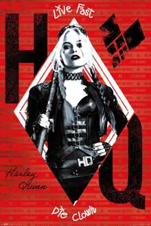 ABYSTYLE Poster The Suicide Squad Harley 61x91,5cm Divers - 61x91.5 cm
