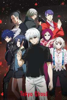 ABYSTYLE Poster Tokyo Ghoul Group 61x91,5cm Divers - 61x91.5 cm