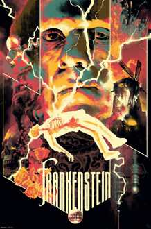 ABYSTYLE Poster Universal Monsters Frankenstein 61x91,5cm Divers - 61x91.5 cm