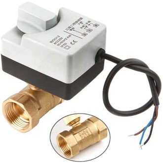 Ac220V Dn25 2 Manier 3 Draden Motorkogelklep Elektrische Actuator Met Handmatige Schakelaar