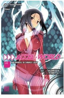 Accel World, Vol. 14 (light novel)