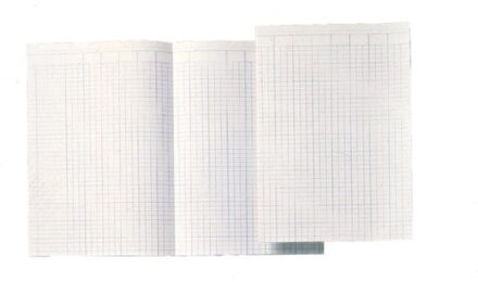 Accountantspapier dubbel A4 14 kolommen 100vel Blauw