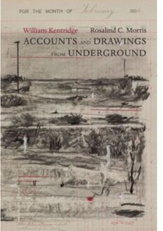 Accounts And Drawings From Undergound - William Kentridge