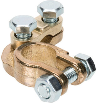 Accupoolklem Blister BLSC29021