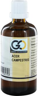 Acer Campestris 100 ml