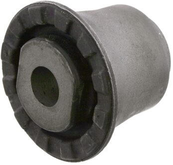 Achteraslichaamlager