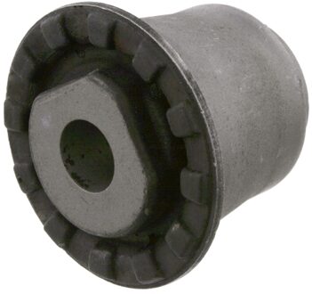 Achteraslichaamlager