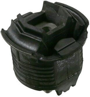 Achteraslichaamlager