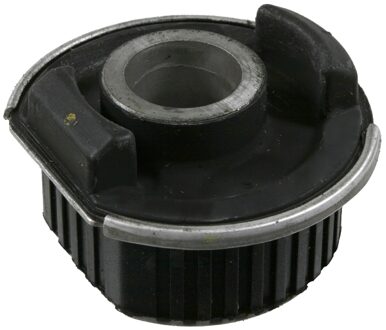 Achteraslichaamlager