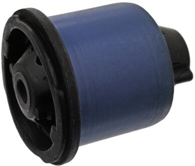 Achteraslichaamlager