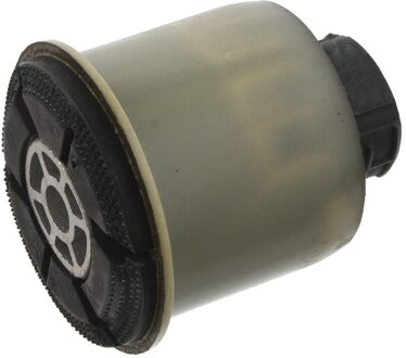 Achteraslichaamlager