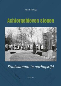 Achtergebleven stenen -  Alie Noorlag (ISBN: 9789052946337)