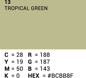 Achtergrondpapier Tropical Green 1.35m x 11m