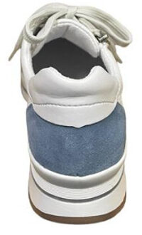 Aco Ruby 65 Blauw - 40