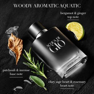 Acqua Di Gio Homme Parfum Spray 50 ml