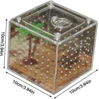 Acryl Reptiel Voerbox Transparante Insect Doos Fokken Doos Mantis Fokken Doos Insect Reptiel Kooi Terrarium Voerbox