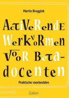 Activerende werkvormen voor bètadocenten - Boek Martin Bruggink (9044135597)