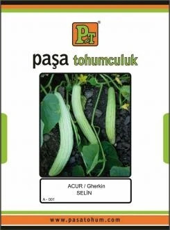 ACUR TOHUMU 25 GR