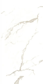 Adema Deco - wandpaneel - 280x96.5cm - SPC - 3mm dik - marmerlook wit Marmer (wit) mat