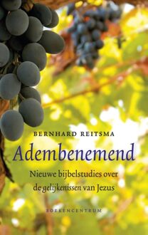 Adembenemend - eBook Bernhard Reitsma (9023929276)