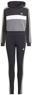adidas 3-Stripes Tiberio Fleece Joggingpak Junior zwart - wit - grijs - 152